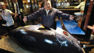 Japan sushi tycoon pays record tuna price