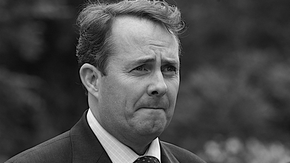 Remainer MPs trying to steal Brexit, says Liam Fox