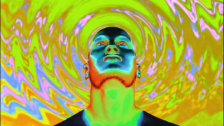 Study shows how LSD interferes with brain's signalling