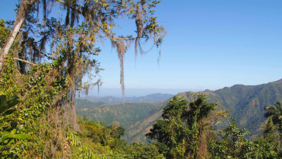 Feet in the clouds: climbing Cuba’s highest peak