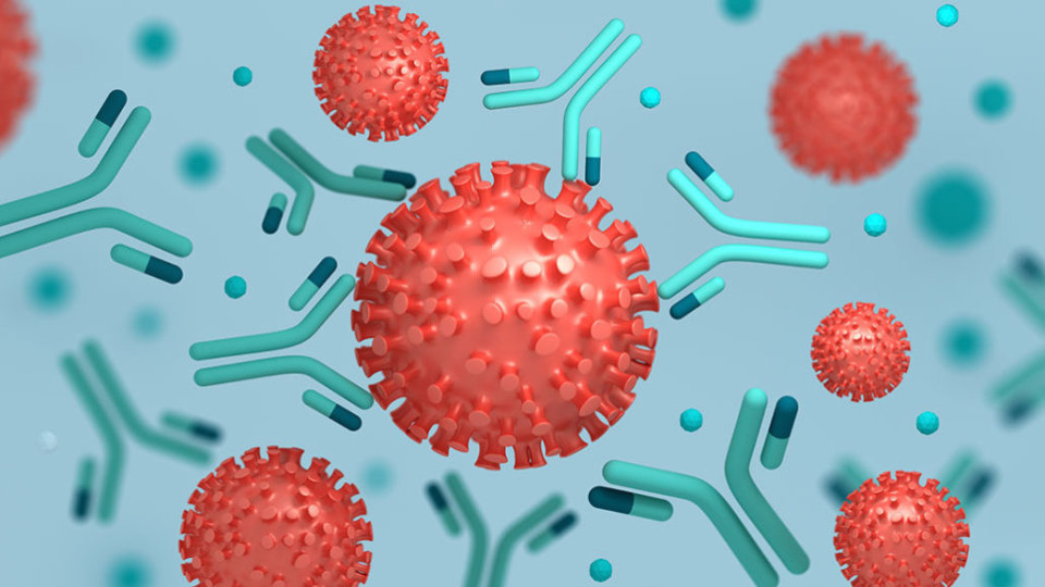 Almost 70% of adults in England now have coronavirus antibodies, latest figures suggest